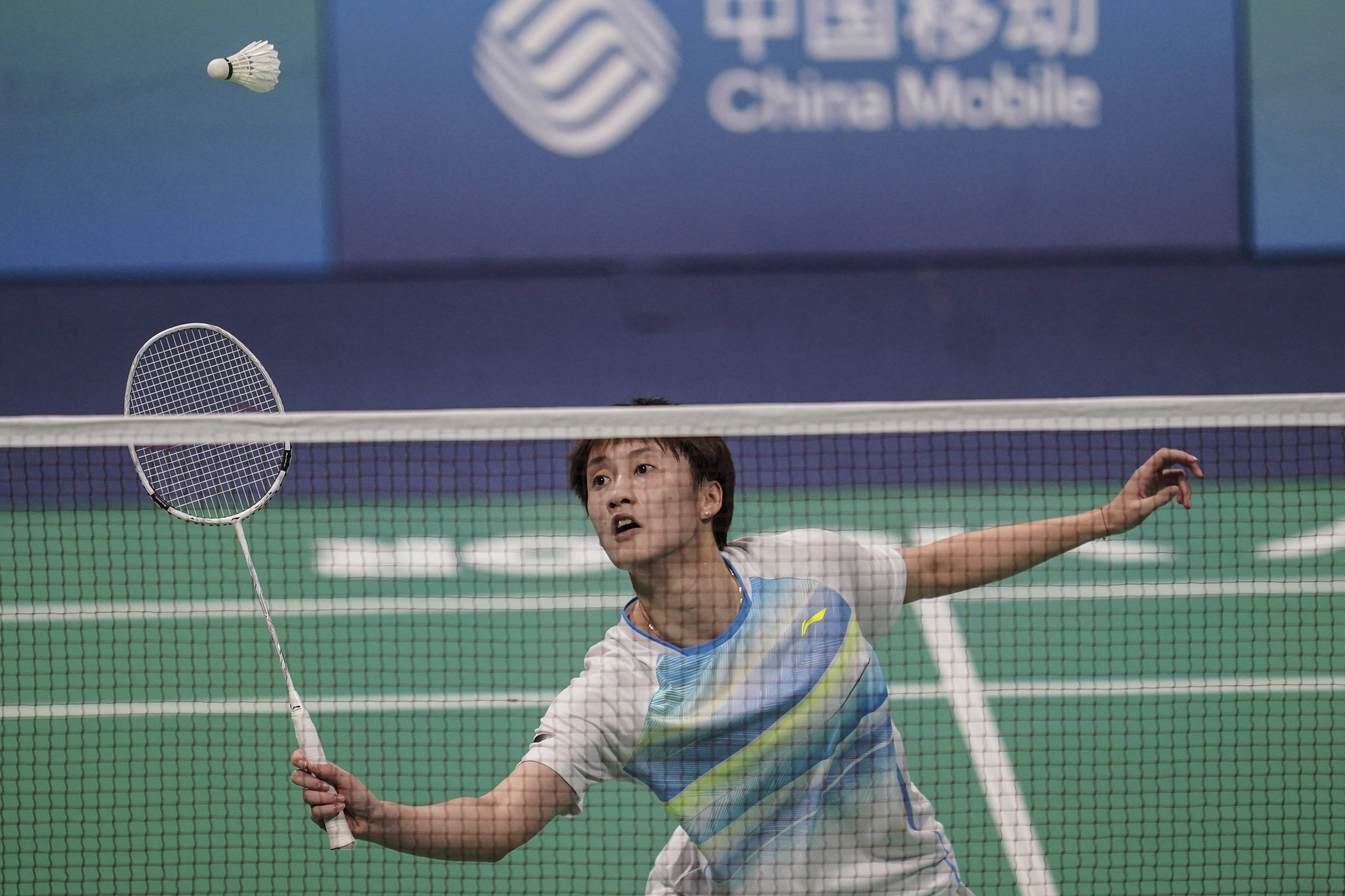 新引入的球 新引入的球