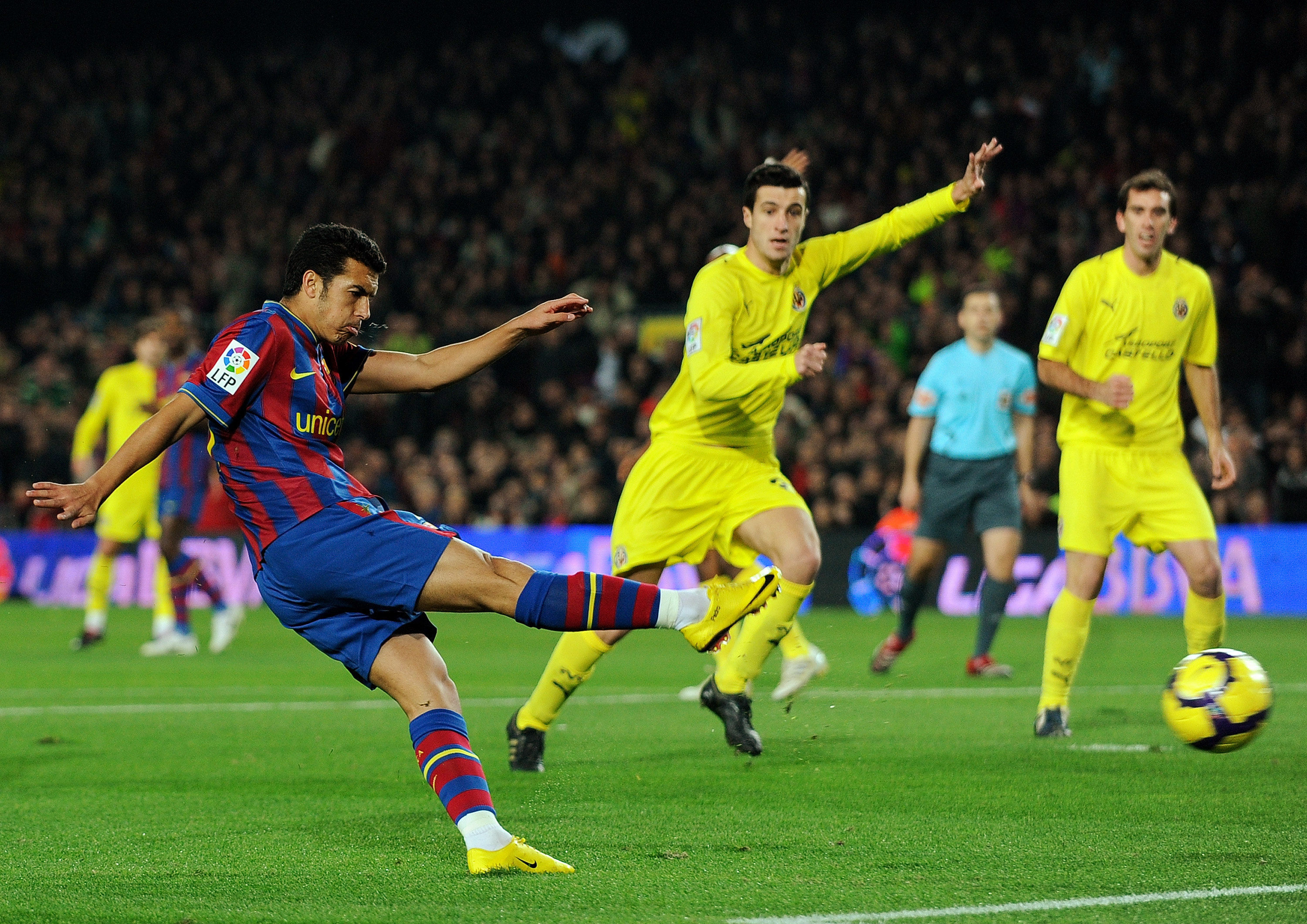 因此教练组 因此教练组