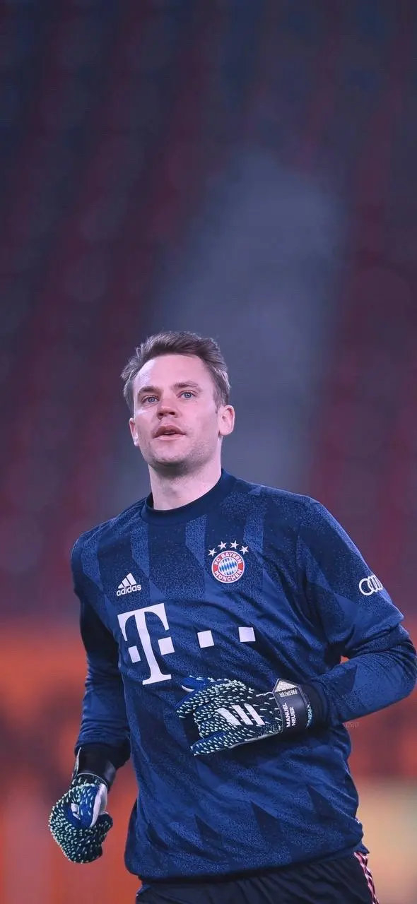 上的稳定发 上的稳定发