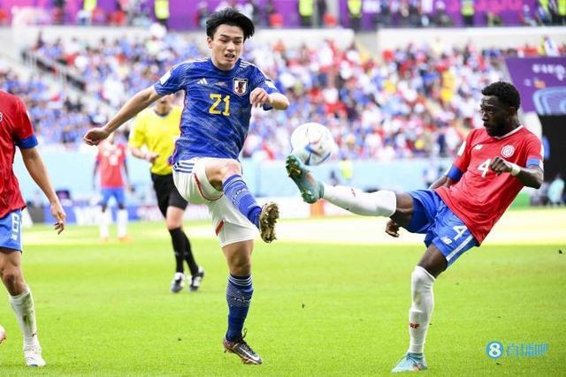 这不仅增加 这不仅增加