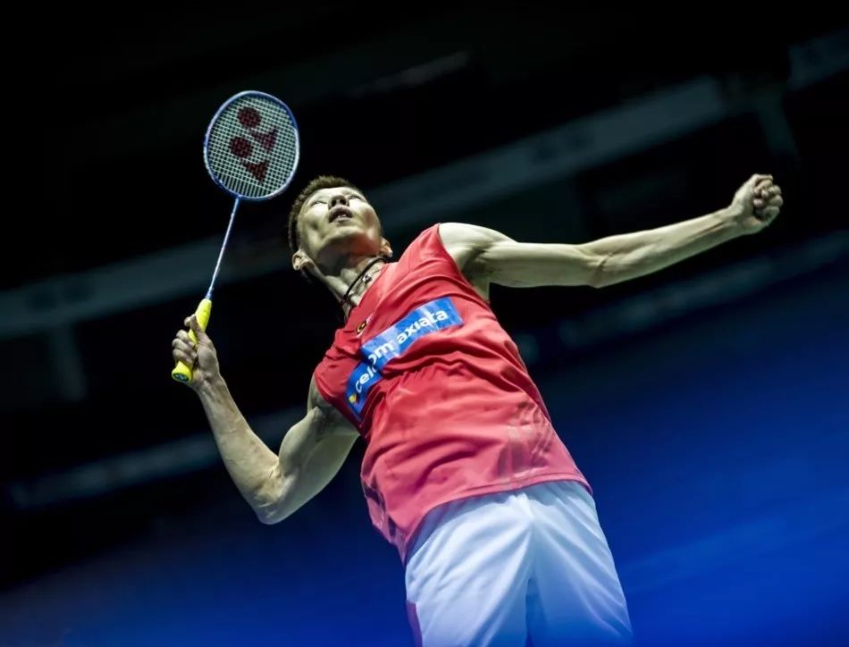 他的统治力 他的统治力